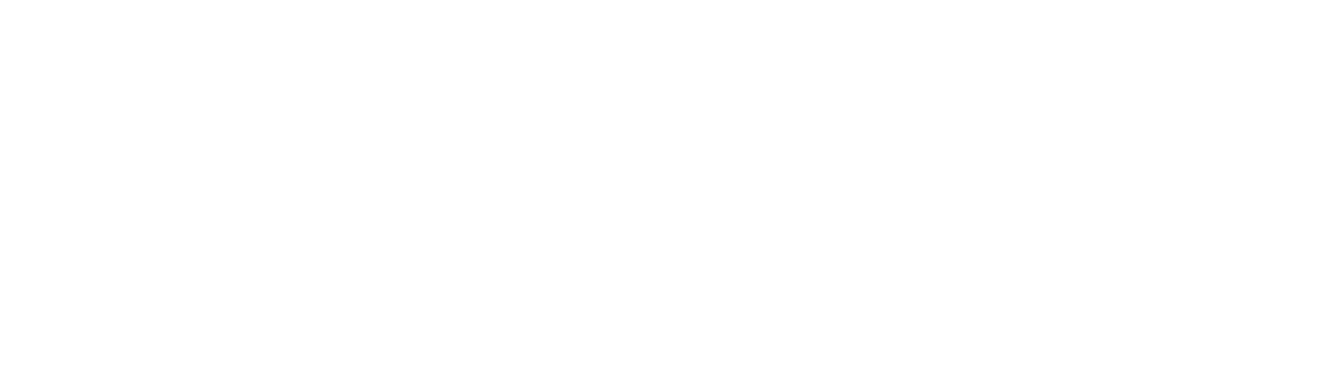 35 LS Model Designator Logo - White